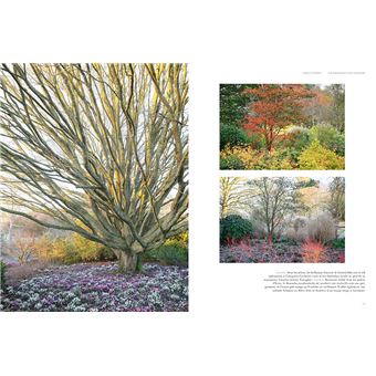 Jardins d'hiver - Une saison réinventée