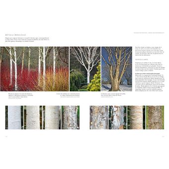 Jardins d'hiver - Une saison réinventée