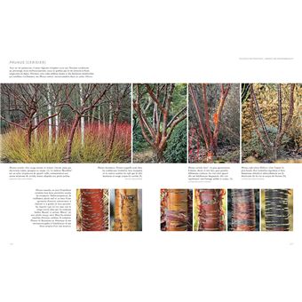 Jardins d'hiver - Une saison réinventée