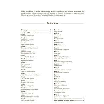 Anglais cycle 3 niveau 2 + téléchargement