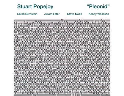 Pleonid