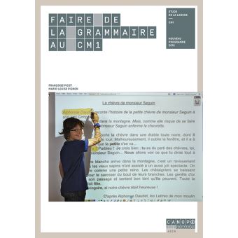 Faire De La Grammaire Au Cm1 Cycle 3 Broche Francoise Picot Marie Louise Pignon Livre Tous Les Livres A La Fnac