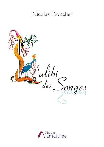 L'alibi des songes