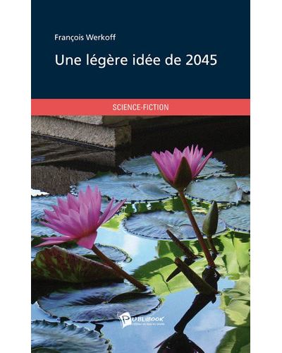Une legere idee de 2045