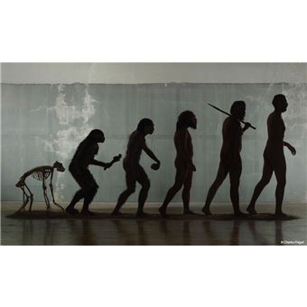 Ötzi, une vie décongelée