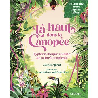 Là-haut dans la canopée