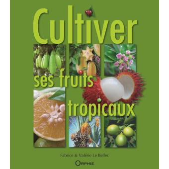 Cultiver ses fruits tropicaux - 1