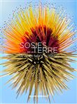 Sosies de la terre