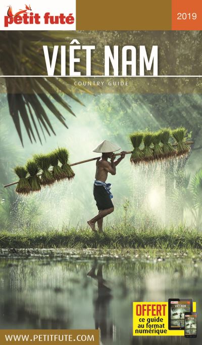 Vietnam + offre numerique
