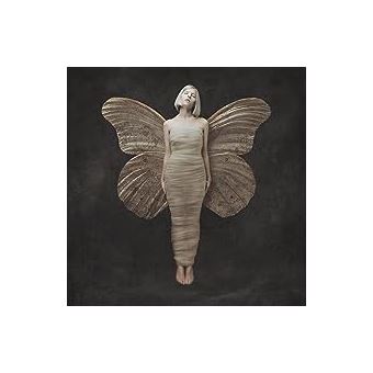 All My Demons Greeting Me As A Friend - Aurora - Vinyle album