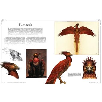 La collection Harry Potter au cinéma, vol. 5 : Les compagnons, les plantes et les métamorphes