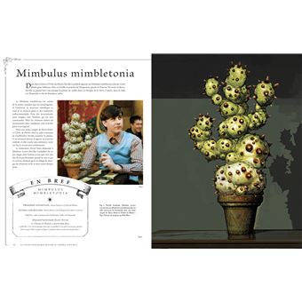 La collection Harry Potter au cinéma, vol. 5 : Les compagnons, les plantes et les métamorphes