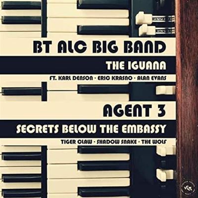 The Iguana Secrets From Below The Embassy