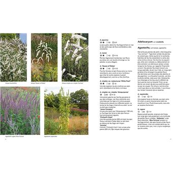 Jardins naturalistes - Les meilleures plantes vivaces