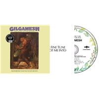 Another Fine Tune You've Got Me Into