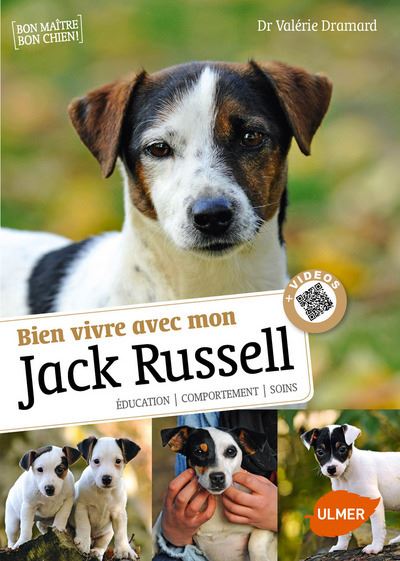 Savoir vivre avec mon jack russel