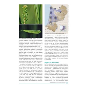 Atlas des papillons de jour d'Aquitaine