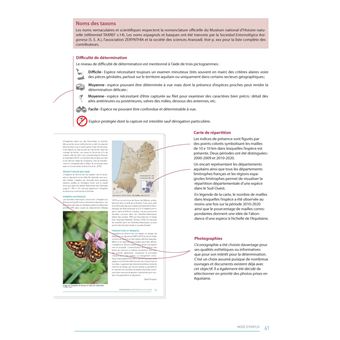 Atlas des papillons de jour d'Aquitaine