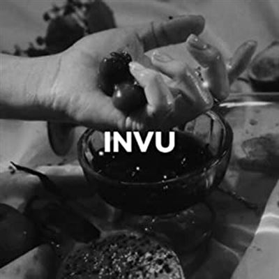 Invu Envy Version