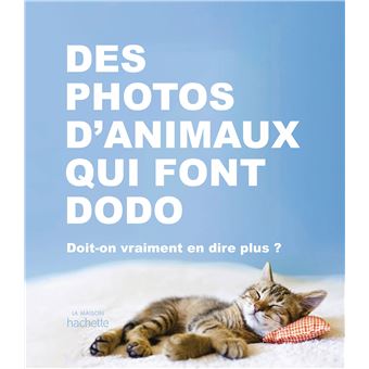 Des photos d'animaux qui font dodo