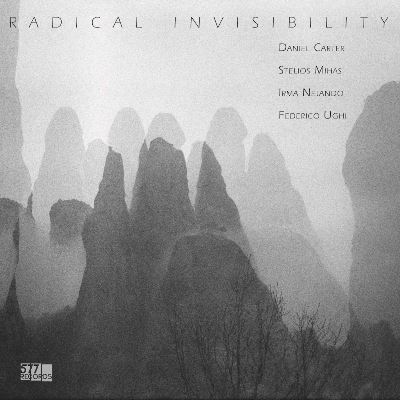Radical Invisibility Inclus coupon MP3
