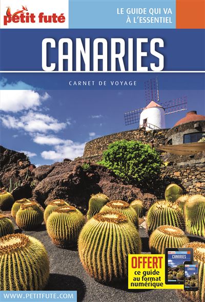 Guide Canaries 2018 Carnet Petit Futé - Dominique Auzias - broché