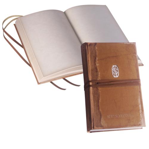 FANTASTIC BEASTS-JOURNAL DE NORBERT DRAGONNEAU