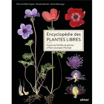 Encyclopédie des plantes libres - Toutes les familles de plantes à fleurs sauvages d'Europe