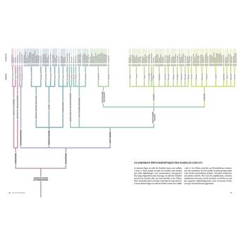 Encyclopédie des plantes libres - Toutes les familles de plantes à fleurs sauvages d'Europe