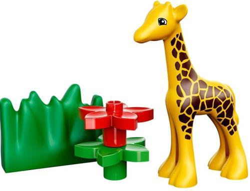 Lego Duplo 4962 Le Zoo Des Bébés Animaux