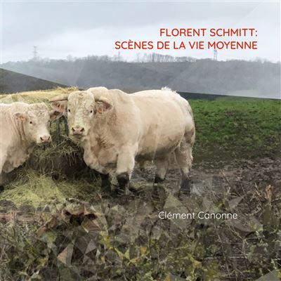 Scènes de la vie moyenne