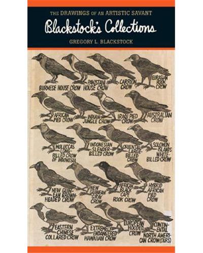 Blackstock's collections the d