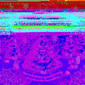 Le petit sapin de noël