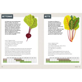 Mon petit potager bio sur 15m²