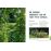 Mon petit potager bio sur 15m²_1