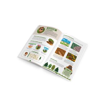 Willy Wild - La déforestation