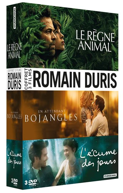 Coffret Romain Duris DVD