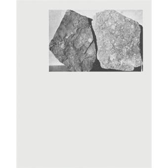 The voyage of discovery