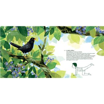 Mon petit yoga musical - livre-CD