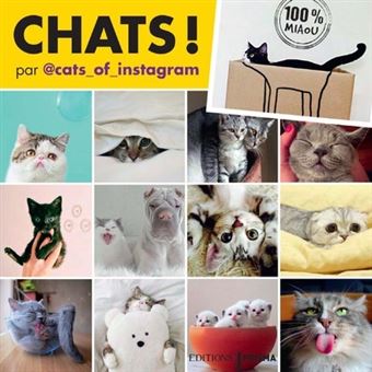 Chats D Instagram Broche Collectif Achat Livre Fnac