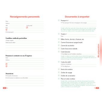 Journal de voyage Ulysse - L'avion