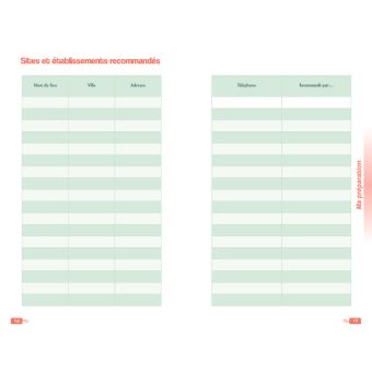 Journal de voyage Ulysse - L'avion