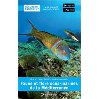 Découvrir autrement faune et flore sous-marines de la Méditerranée