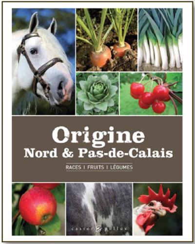 Origine Nord et Pas-de-Calais