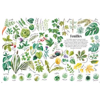 Toutes les parures de la nature