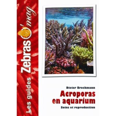 Acroporas en aquarium