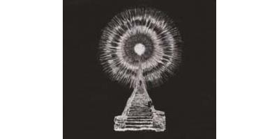 VISIONS IN BONE/2LP LTD ED