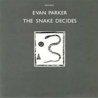 The Snake Decides
