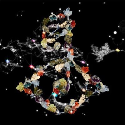 Biophilia, Edition limitée - 2 LP
