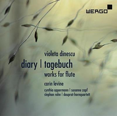 Diary/tagebuch pieces pour flute